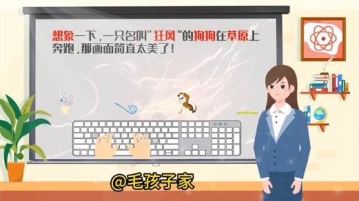给狗狗取名字独一无二