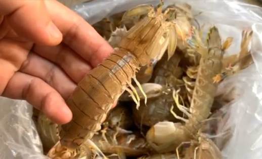 皮皮虾怎么吃剥