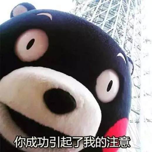 情人节玫瑰花多少一支
