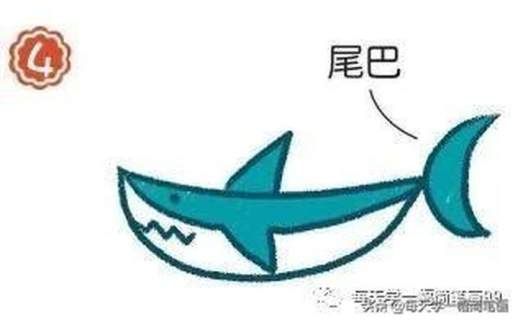 鲨鱼简笔画