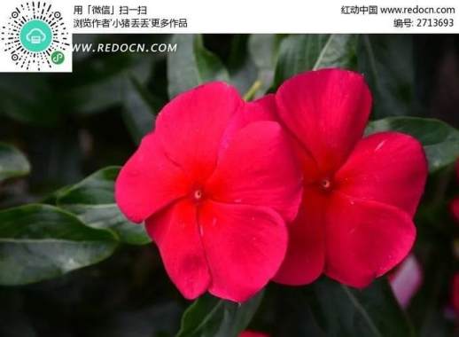 碧海蓝天什么意思啊