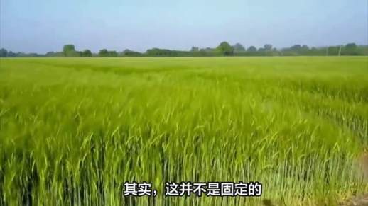 1亩多少平方米