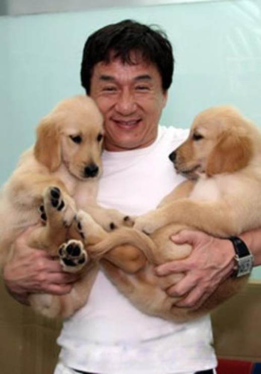 金毛犬怎么养