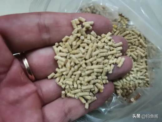 鲤鱼喜欢吃什么饵料