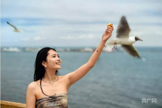 青海湖旅游