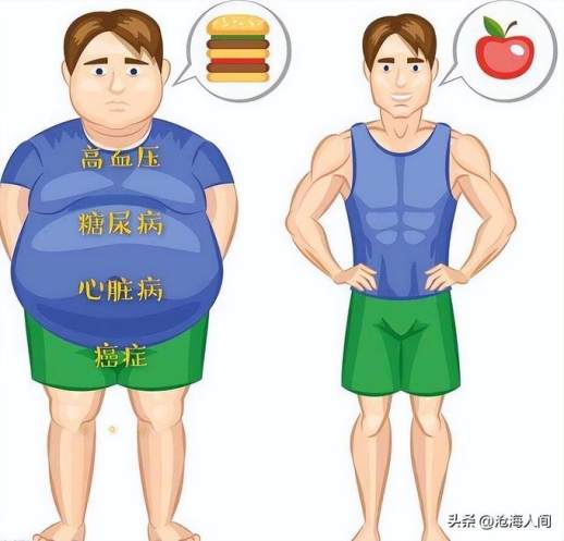 男人太瘦了怎么增肥
