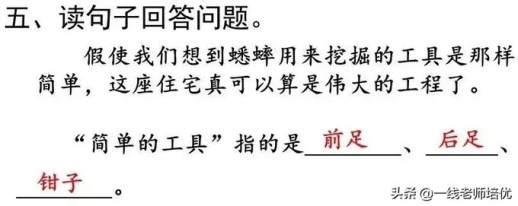 择字组词