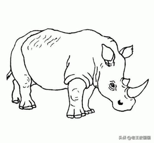 简笔画狼