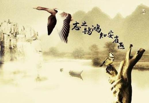 燕雀安知鸿鹄之志哉