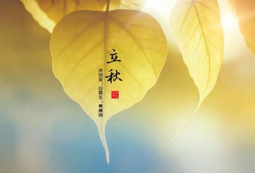 眷恋的意思是什么