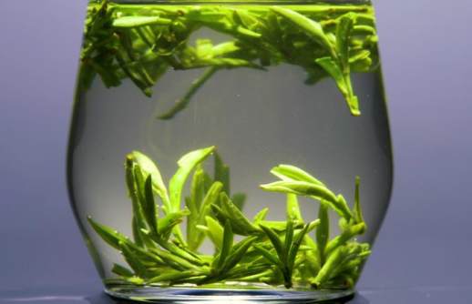 高山云雾茶
