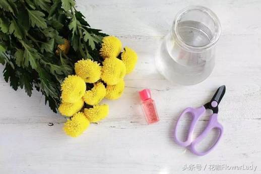 乒乓菊的花语