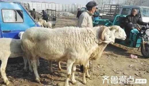 为什么来什么去