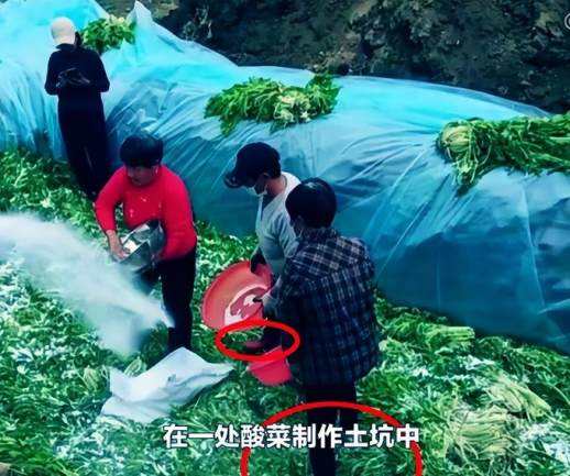 腊菜怎么腌制