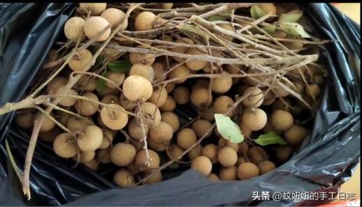 桂圆干怎么做
