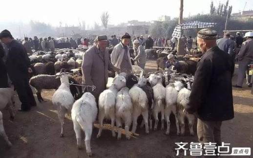 为什么来什么去