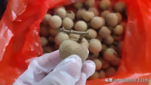 桂圆干怎么做