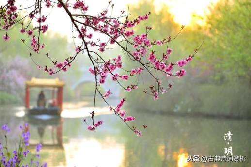 江碧鸟逾白山青花欲燃