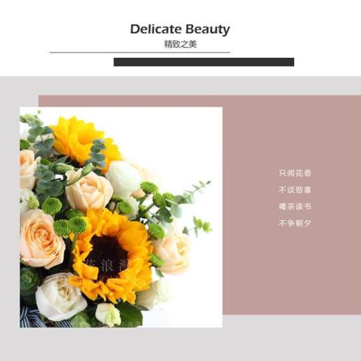雏菊的花语和寓意