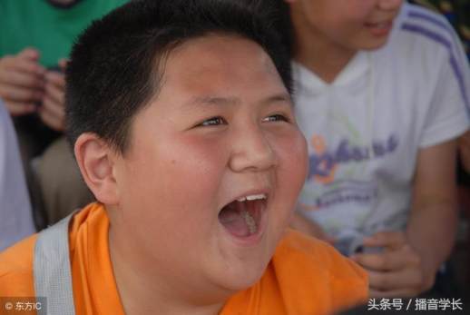 棕榈树读音