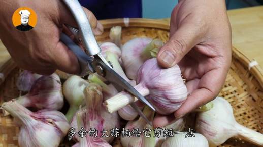 醋蒜的腌制方法