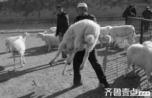 为什么来什么去
