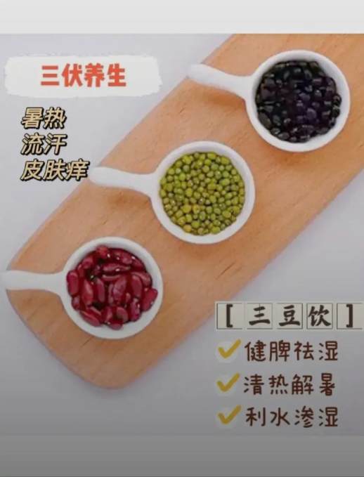 今年哪天入伏几点入伏