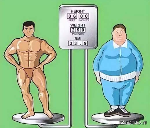 男人太瘦了怎么增肥