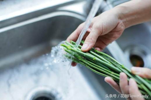 乒乓菊的花语