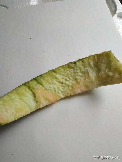 八哥鸟吃什么食物