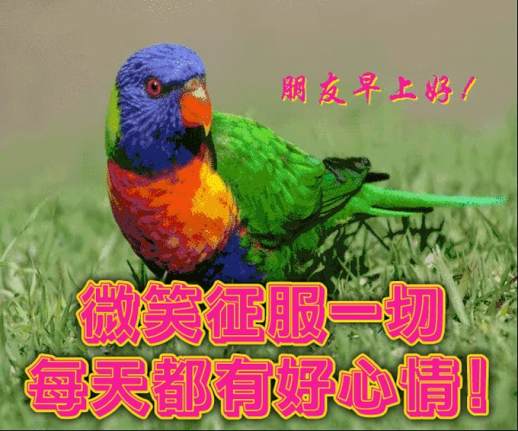 祝你早安午安晚安