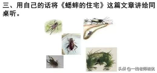 择字组词
