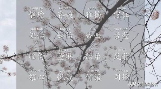 清冷孤傲古风名字女生