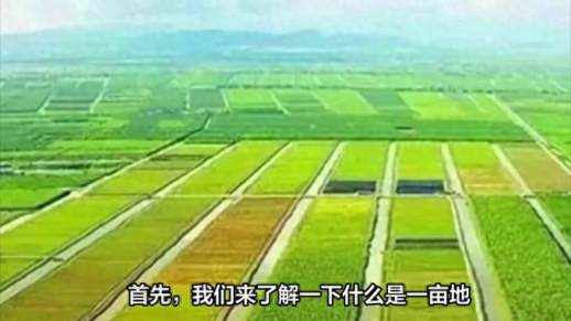 1亩多少平方米