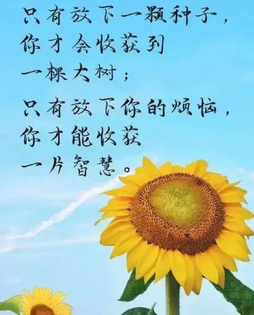 新的一年新的开始感悟