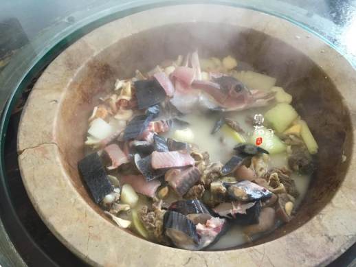 鸭嘴鱼怎么做好吃