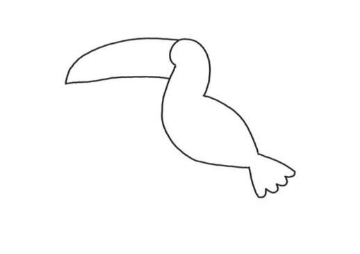 简笔画鸟的画法简单