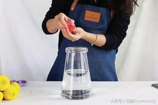 乒乓菊的花语
