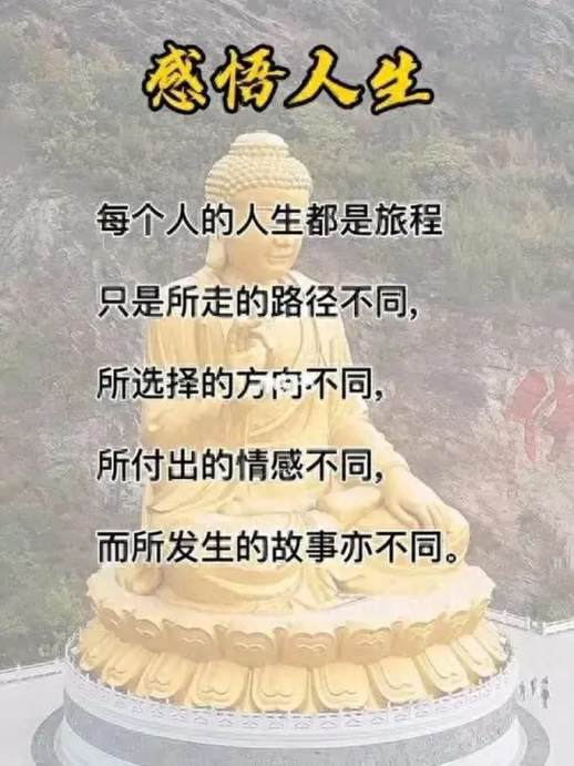 新的一年新的开始感悟