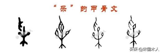 寀怎么读