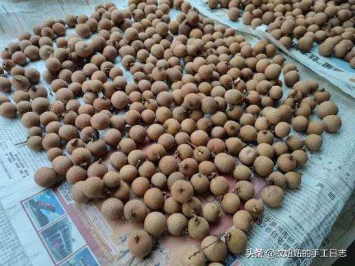 桂圆干怎么做