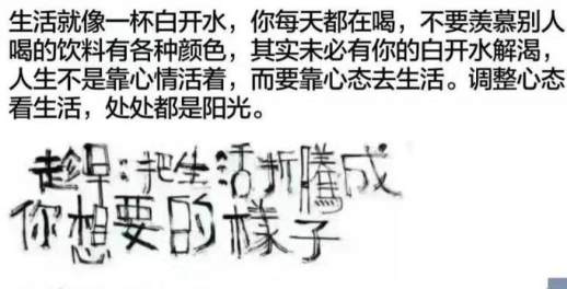 生活就是自己折腾