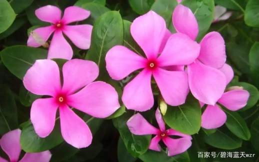 碧海蓝天什么意思啊