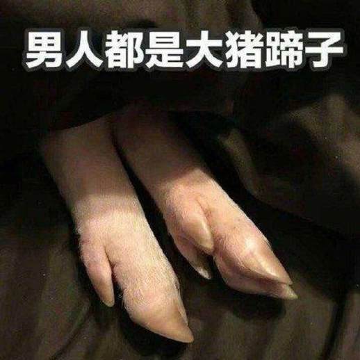 男人是大猪蹄子女人是什么