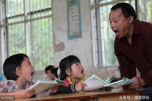 棕榈树读音