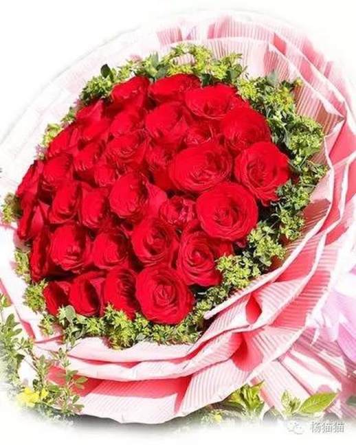 玫瑰花33朵的含义