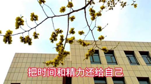 你什么我什么