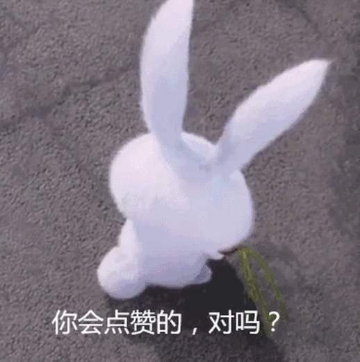 棕榈树读音