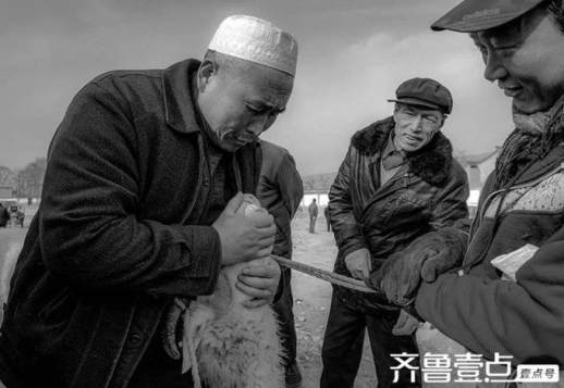 为什么来什么去