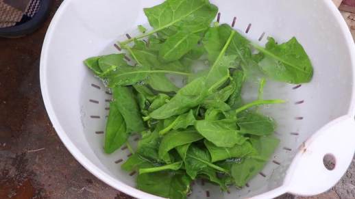 菠菜蛋花汤的正宗做法